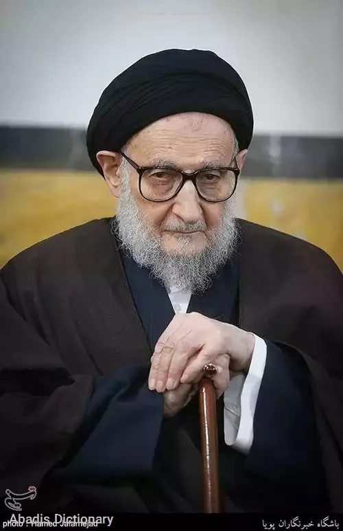 سید محمد ضیاءابادی